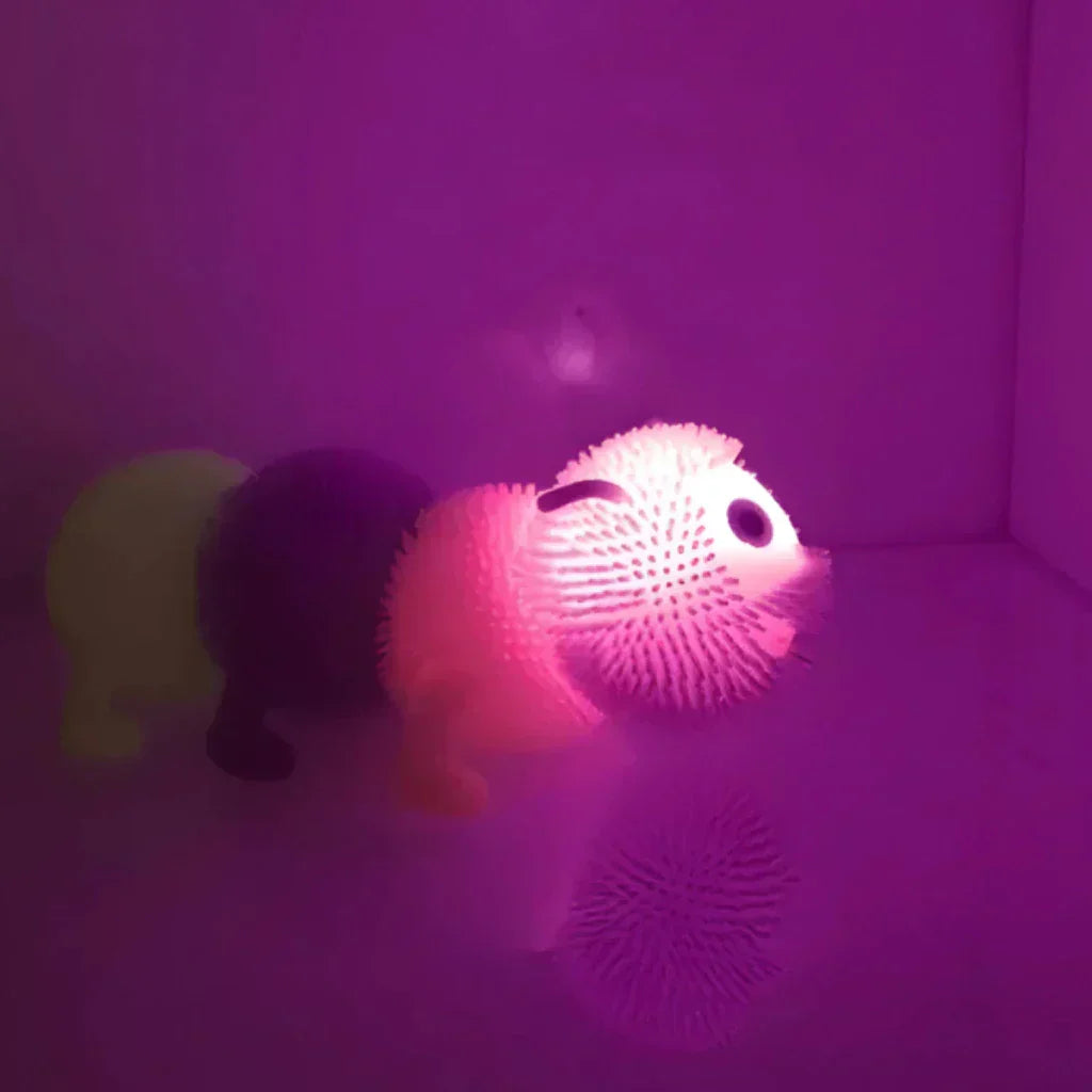 Brinquedo Infantil Centopéia Lagarta com Luz De Apertar E Esticar Colorida