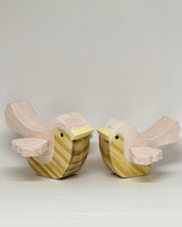 Passarinhos Céu Rosa