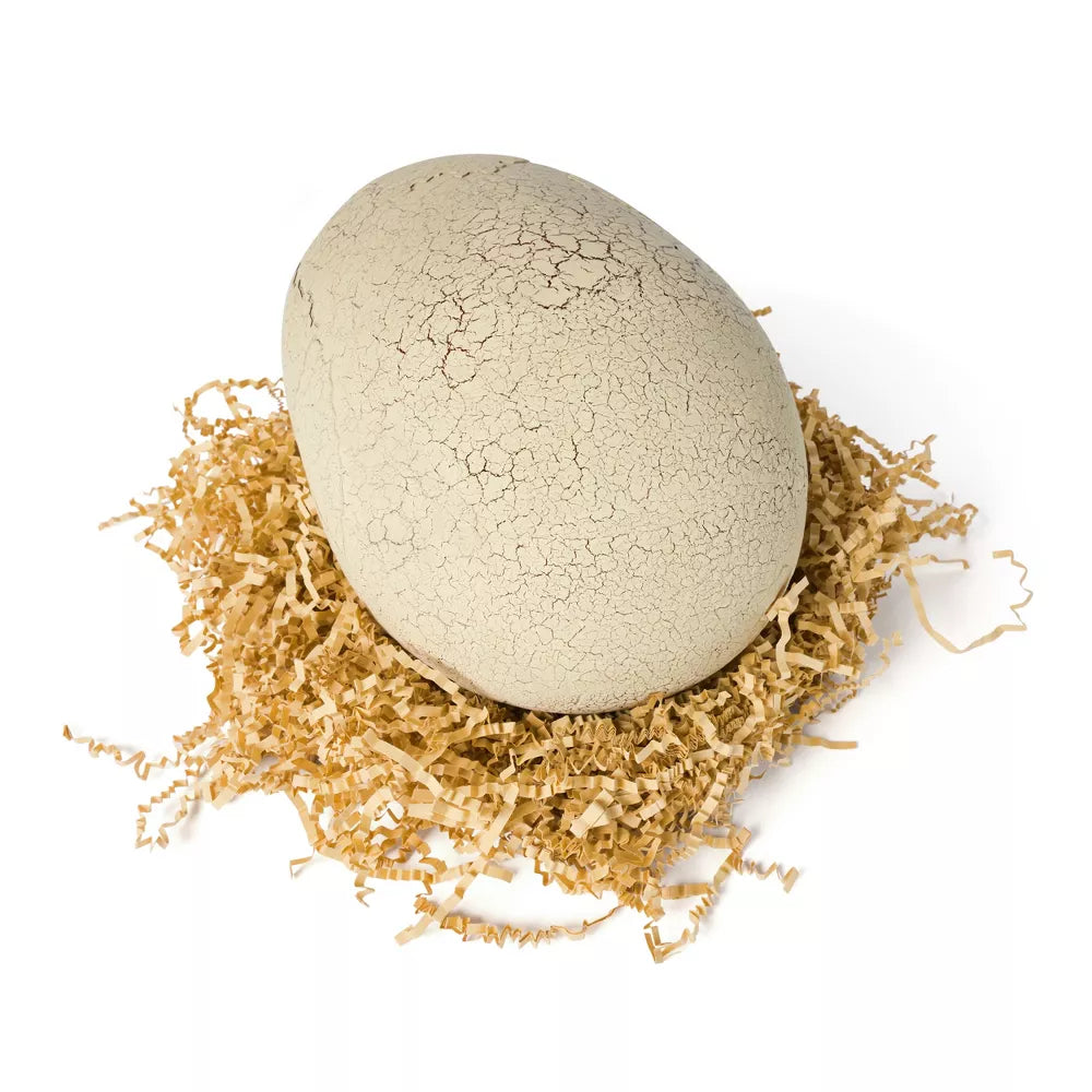 Dinossauro Rex Interativo com Sons e Reações